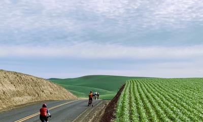 big skies, windswept wheat fields and wide open roads